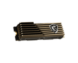 MSI Spatium M570 PCIe 5.0 NVMe M.2 HS - 2 To avec dissipateur thermique S78-440Q560-P83 - ESP-Tech