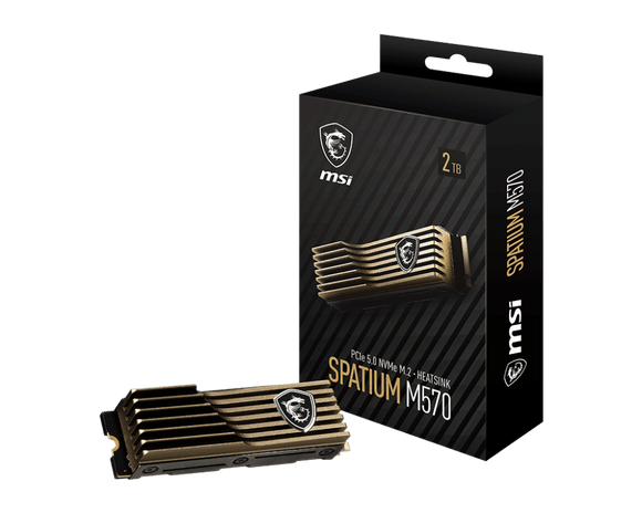 MSI Spatium M570 PCIe 5.0 NVMe M.2 HS - 2 To avec dissipateur thermique S78-440Q560-P83 - ESP-Tech