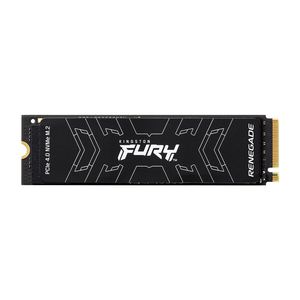 Kingston Fury Renegade SSD PCIe 4.0 NVMe SSD - 500 Go - ESP-Tech