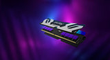 Kingston Fury™ Renegade RGB DDR5 - 16 Go (1 x 16 Go) - 7200 MT/s C38 - Intel XMP 3.0 - Noir/Argent - ESP-Tech